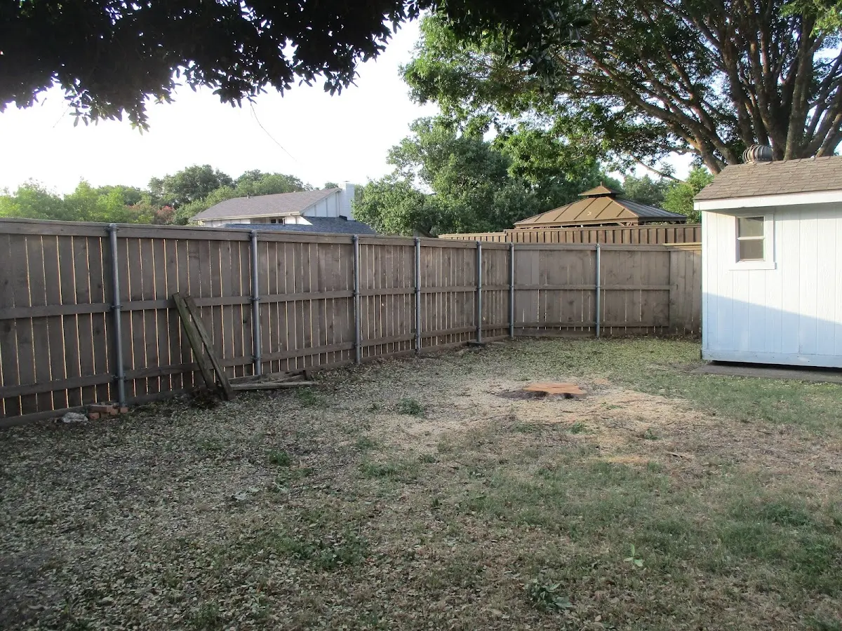 Cleared yard after professional tree removal in Greenfield